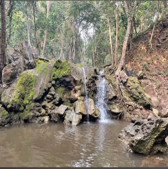 Guntupalli Caves