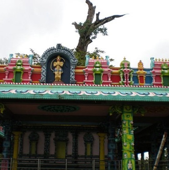 Kolleru Lake