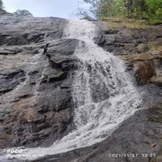 Guntupalli Caves