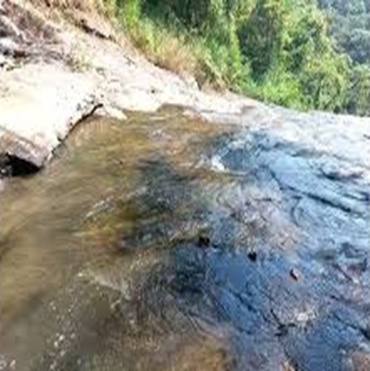 Guntupalli Caves