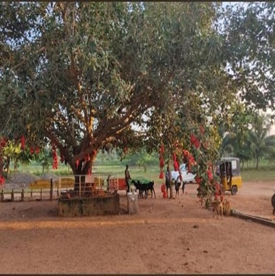 Guntupalli Caves